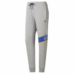 Reebok WOR Meet You There Graphic Joggers Hosen Damen - Grau - DE 931-RYL